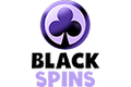 Black Spins Casino Black Spins Casino logo