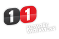 11.lv Casino logo