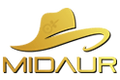 Midaur Casino Midaur Casino logo