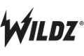 Wildz Casino Wildz Casino logo