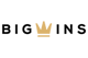 BigWins logo