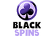 Black Spins Casino logo