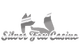 Silver Fox Casino logo