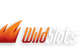 Wild Slots Casino logo