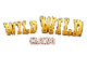 Wild Wild Casino logo