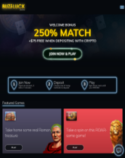 BuzzLuck Casino screenshot