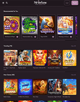 Mr Fortune Casino screenshot