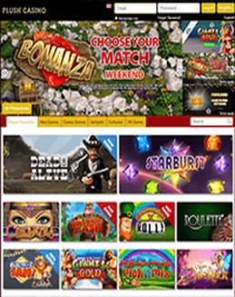 Plush Bingo screenshot