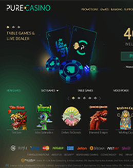 PureCasino screenshot