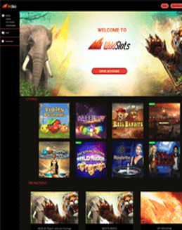 Wild Slots Casino screenshot