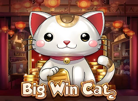 Big Win Cat