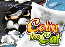 Colin the Cat