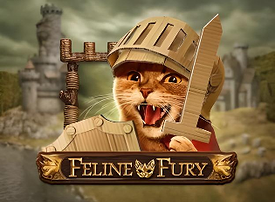 Feline Fury