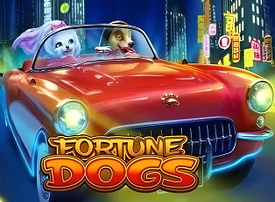Fortune Dogs