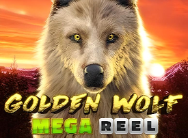 Golden Wolf Mega Reel