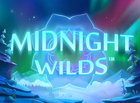 Midnight Wilds