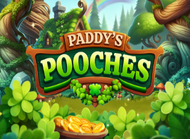 Paddys Pooches