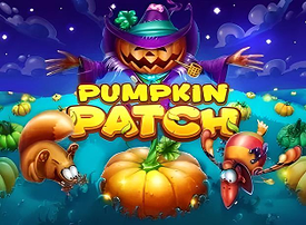Pumpkin Patch
