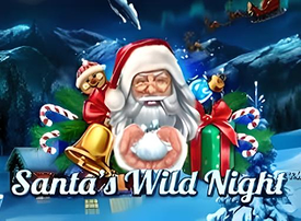 Santas Wild Night