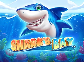 Sharks Bay