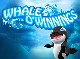 Whale O Winnings
