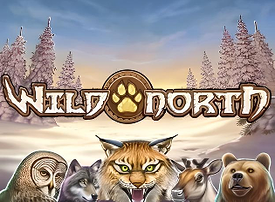 Wild North