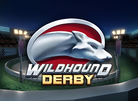 Wildhound Derby