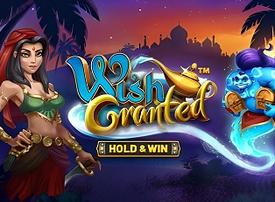 Wish Granted